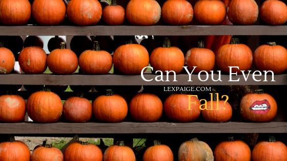 Can You Even “Fall?” Instagram Captions For Your Best Fall Photos!