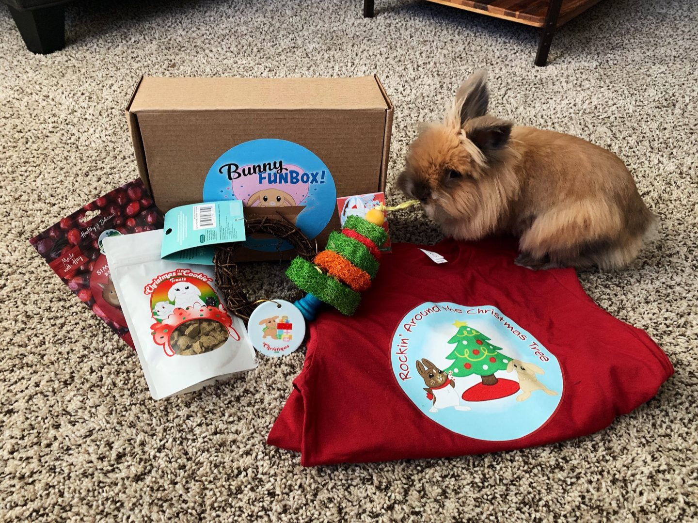 Theodore Unboxing the Bunny FunBox: Holiday Edition