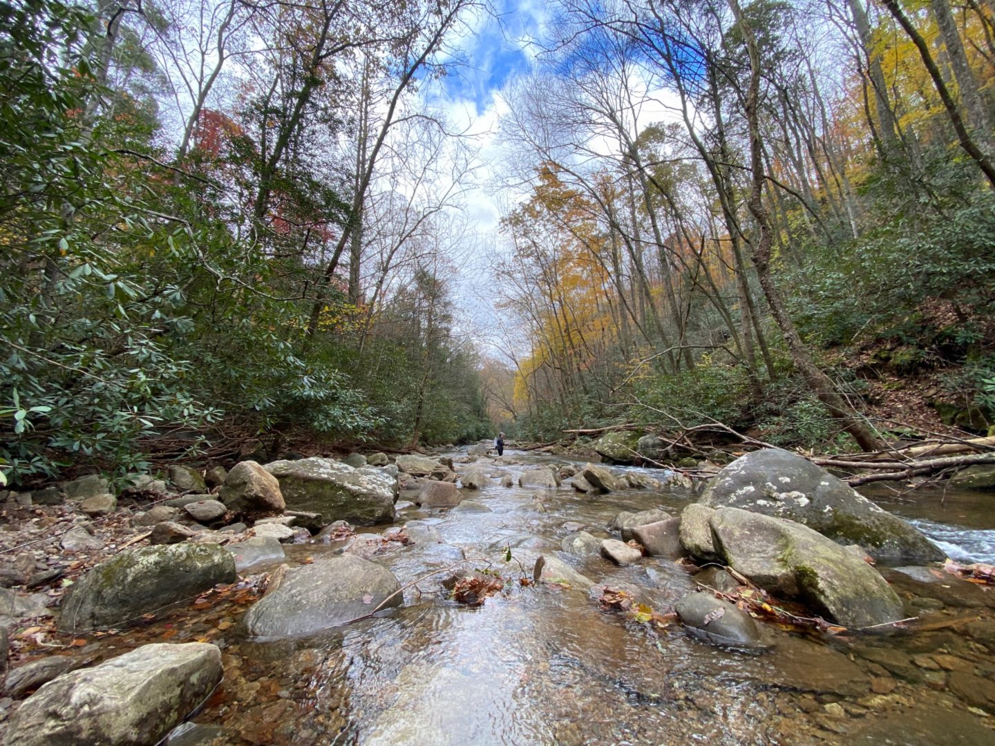 Exploring North Carolina: A Day Trip of Trout Fishing