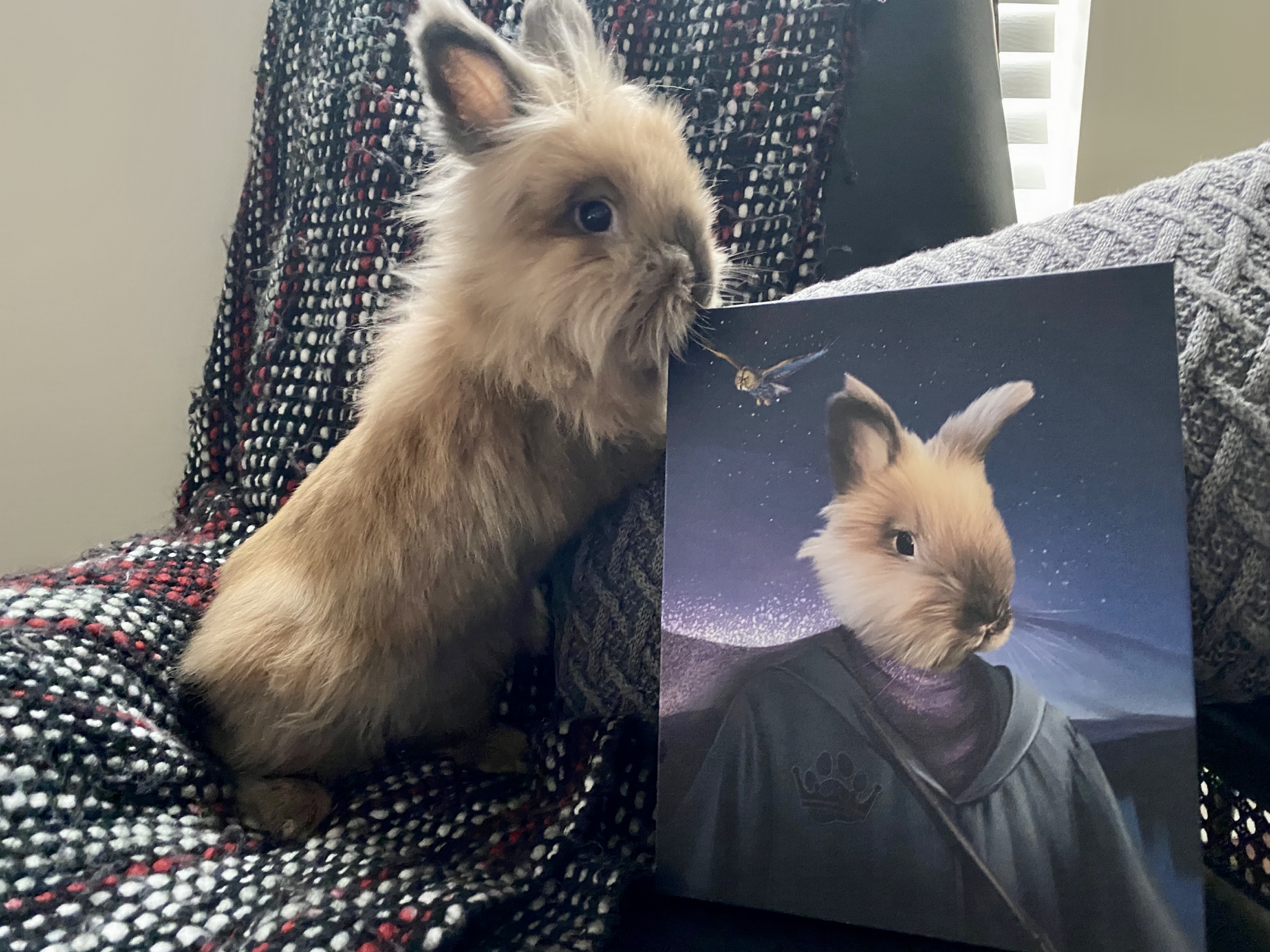 Unboxing Theodore’s Portrait with Crown and Paw