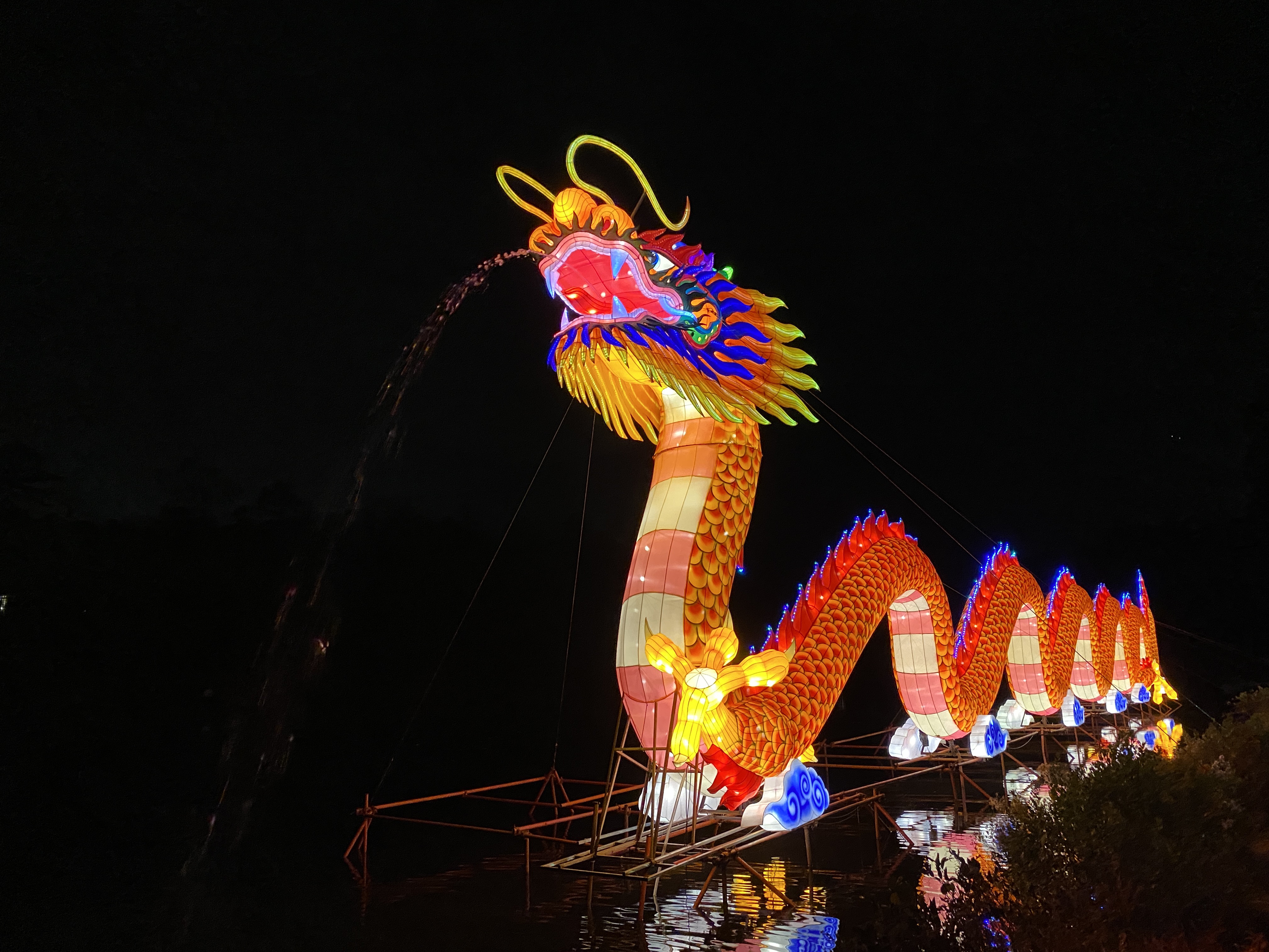 My Trip To The North Carolina Chinese Lantern Festival