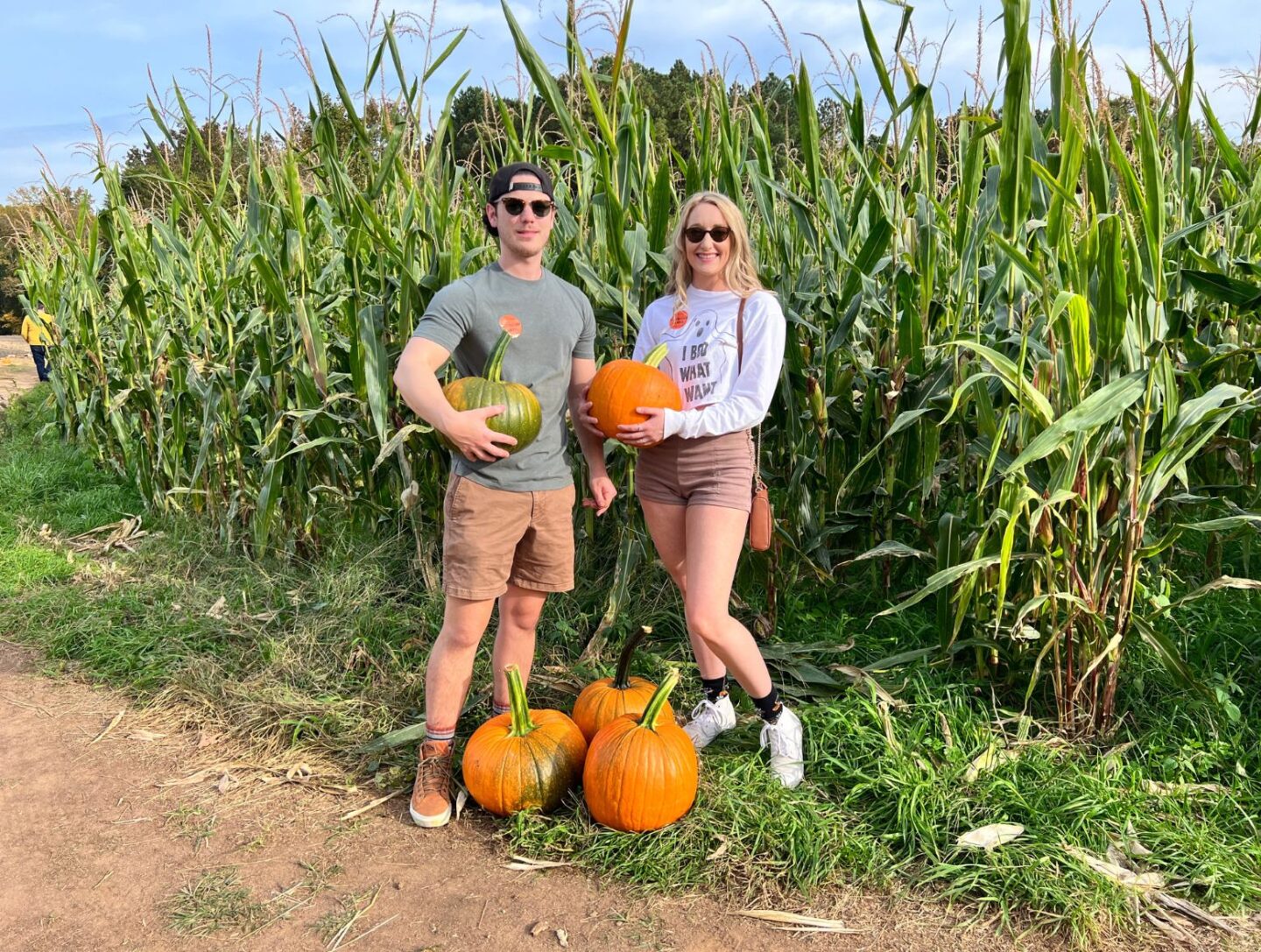 Pumpkin Picking